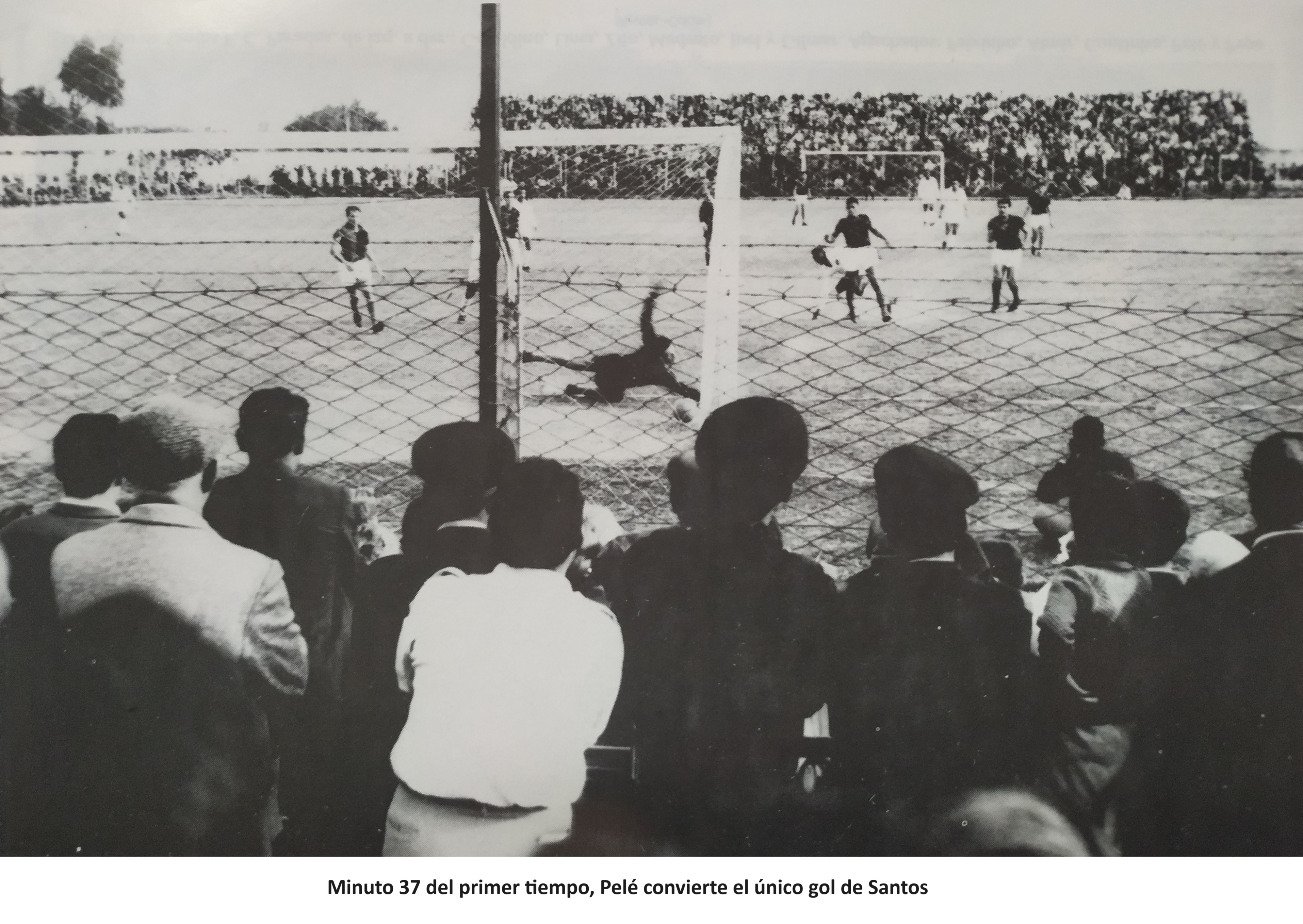 gol-pele